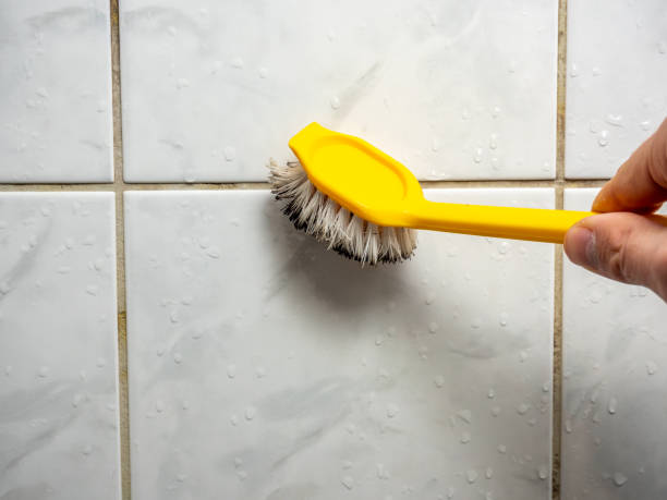 Best Mold Removal Specialists  in North Barrington, IL