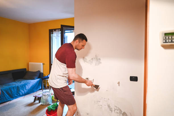 Best Same-Day Mold Removal  in North Barrington, IL
